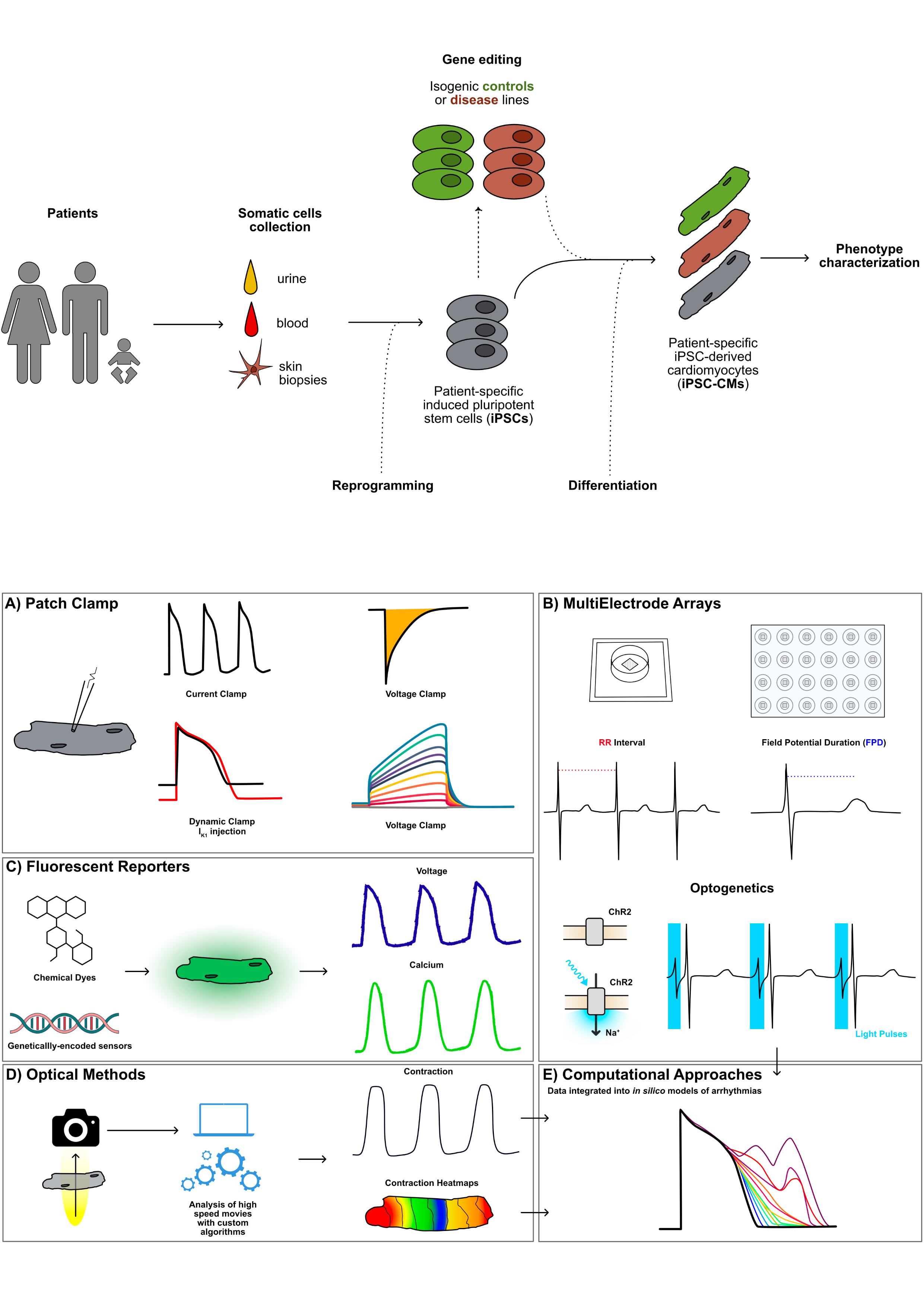 Infographics Infographics