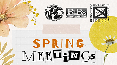 PhD TeCSBi Sprint Meeting