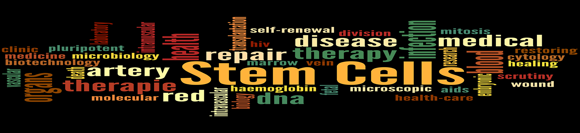 Seminari-BtBs-UNIMIB