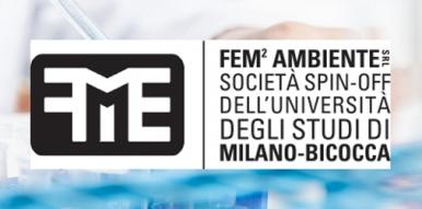 FEM2 Newsletter