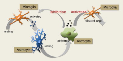 Graphical abstract Graphical abstract