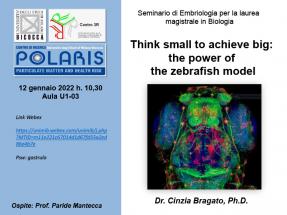 Locandina Seminario Zebrafish_Bragato
