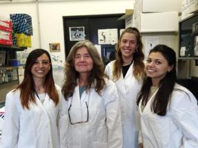 Nicolis Lab BtBs UNIMIB Cariplo
