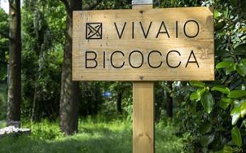 Vivaio Bicocca UNIMIB BtBs Vivaio Bicocca UNIMIB BtBs