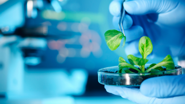 biomateriali_BNews biomateriali_BNews