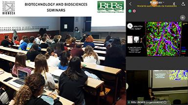 BtBs seminar image