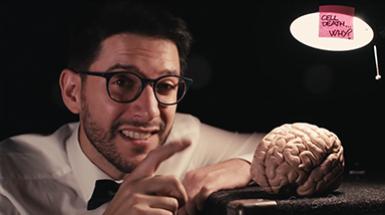 Lorenzo Gesuita THE BEAUTIFUL BRAIN