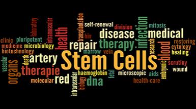 Seminari-BtBs-UNIMIB