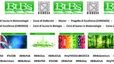 BtBsNEWS_2 BtBsNEWS_2