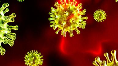 Coronavirus BtBs UNIMIB