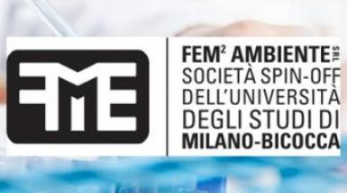 FEM2 Newsletter