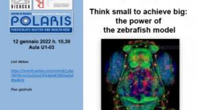 Locandina Seminario Zebrafish_Bragato
