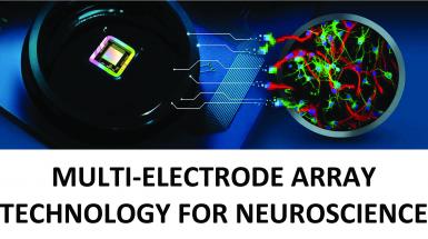 MULTI-ELECTRODE ARRAY TECHNOLOGY MULTI-ELECTRODE ARRAY TECHNOLOGY
