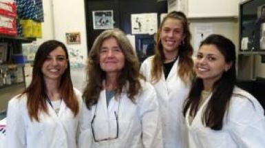 Nicolis Lab BtBs UNIMIB Cariplo Nicolis Lab BtBs UNIMIB Cariplo