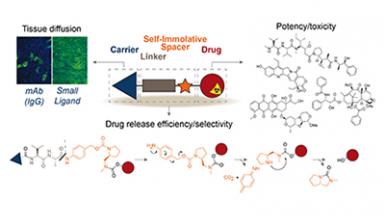 Chemical Design of Tumor-Targeted Drug Conjugates Chemical Design of Tumor-Targeted Drug Conjugates