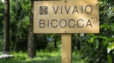 Vivaio Bicocca UNIMIB BtBs Vivaio Bicocca UNIMIB BtBs