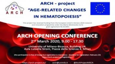 arch opening arch opening