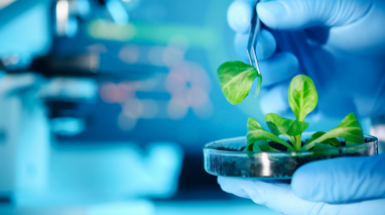 biomateriali_BNews