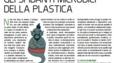 gli sfidanti gli sfidanti