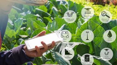 management-of-food-data management-of-food-data