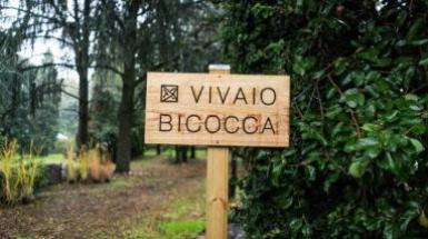 vivaio bicocca vivaio bicocca