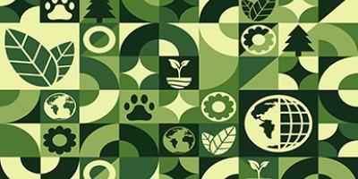 BIODIVERSITY AND ECOLOGY_RESEARCH AREA