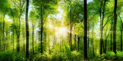 Enviromental Biodiversity and Ecosystem Reasearch area BtBs UNIMIB