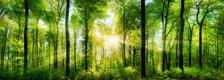 Enviromental Biodiversity and Ecosystem Reasearch area BtBs UNIMIB Enviromental Biodiversity and Ecosystem Reasearch area BtBs UNIMIB