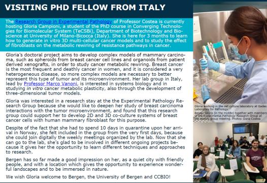 Gloria Campioni PhD student del TeCSBI BtBs UNIMIB al CCBIO di University of Bergen Gloria Campioni PhD student del TeCSBI BtBs UNIMIB al CCBIO di University of Bergen