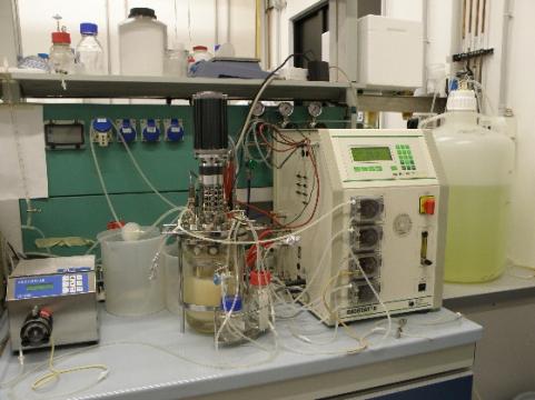 Laboratorio di Microbiologia Industriale
