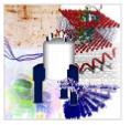 NMR BtBs UNIMIB