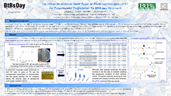 P32_Zampolli Jessica_POSTER BtBsDay 2020 P32_Zampolli Jessica_POSTER BtBsDay 2020