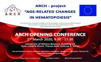 arch opening arch opening