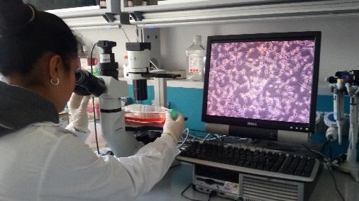 Laboratorio di Biologia e Biochimica cellulare