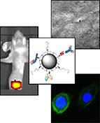 NanoBiolab