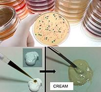 NanoBiolab NanoBiolab