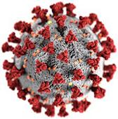 NanoBiolab
