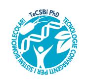 Dottorato in Tecnologie Convergenti per i Sistemi Biomolecolari (TeCSBi) Dottorato in Tecnologie Convergenti per i Sistemi Biomolecolari (TeCSBi)