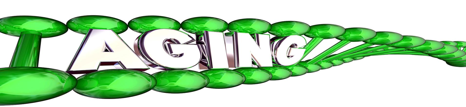 Seminari-BtBs-UNIMIB