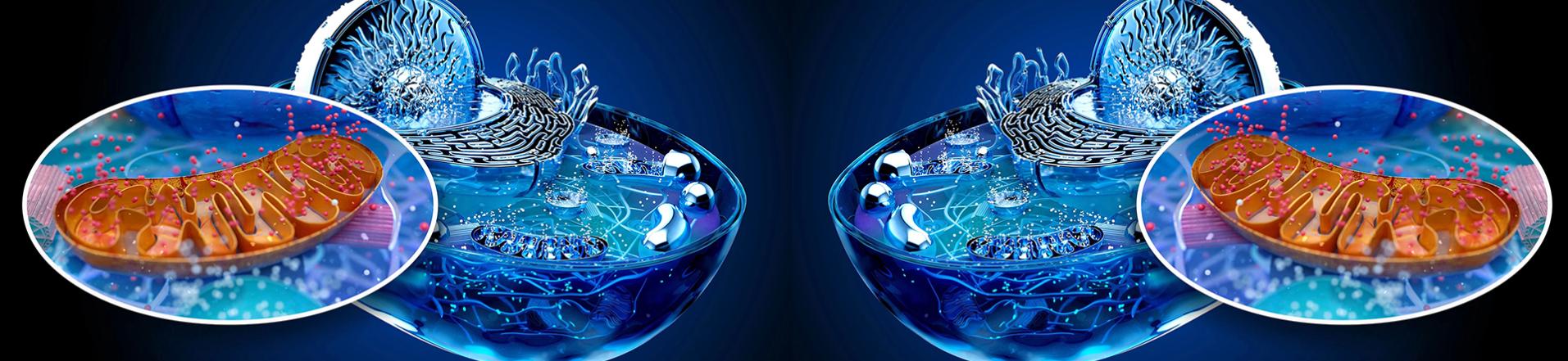 Seminari-BtBs-UNIMIB